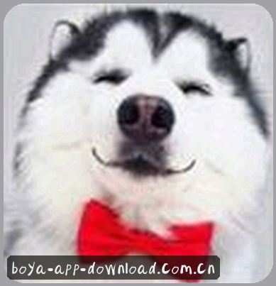 赵明